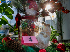 Экстра-потепление случится в январе в Волгограде