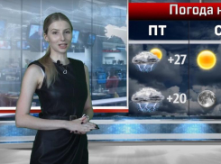 Из-за жары мошка не уйдет: погода на выходные в Волгограде