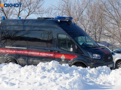 Шесть трупов найдены в теплице под Волгоградом