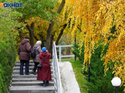 Ворошиловский на последнем месте: в Волгограде пересчитали жителей районов