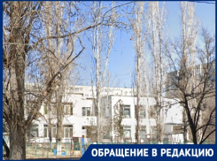 «Не пускают родителей на утренник»: волгоградка возмущена порядками в детсаду