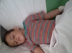 Четырехлетний мальчик умирает от укуса гадюки в Волгограде