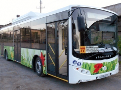 Перевозчик «Питеравто» потребовал муниципальное ПАТП Волгограда освободить территорию