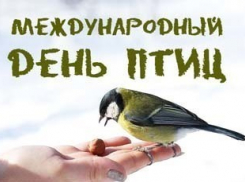 Волгоградцев приглашают отметить День птиц