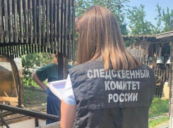 Названа причина смерти семьи из четырех человек под Волгоградом