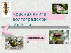 В Волгоградской области появится новая Красная книга