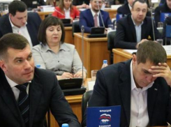 Волгоградские депутаты перестали ходить в думу