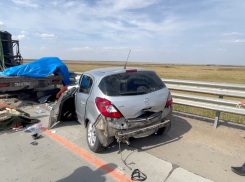 Сбивший насмерть троих мужчин под Волгоградом водитель не признал свою вину 