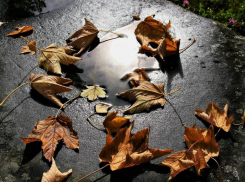 Порывистый ветер и дождь продолжат одолевать волгоградцев в понедельник