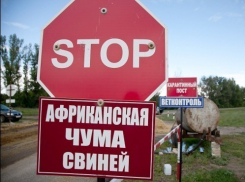 Власти Волгоградской области выплатят 15 миллионов рублей пострадавшим от АЧС