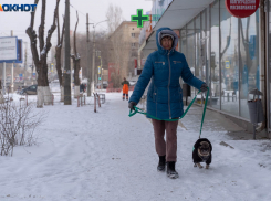 Погода в Волгограде на 1 марта: изморозь, гололедица и давление