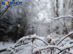 Трассу под Волгоградом засыпало первым снегом