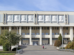 Ученые ВолГУ займутся пересчетом поголовья мошки во время ЧМ-18 в Волгограде