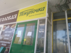 Мэрия Волгограда судится с «Покупочками» из-за долгов по аренде