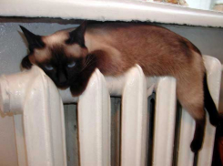 В Волгограде жители поселка Горный остались без тепла и горячей воды