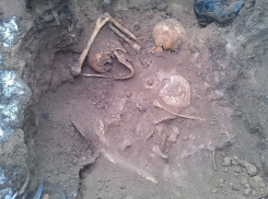 В Волгограде раскопали блиндаж с останками 19 солдат ВОВ 