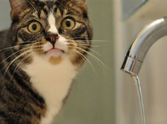 Жителей двух районов Волгограда оставили без воды на все выходные