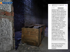 «Бирки - на случай опознания детских трупов»: волгоградцы заявили о подготовке бомбоубежища в детсаду