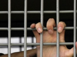 В Волгограде осудили и сразу амнистировали организатора игорного заведения