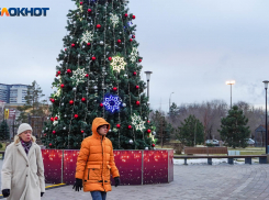 30 декабря в Волгоградской области синоптики обещают снег и слабый мороз
