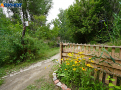 Волжский признали городом с самым мизерным количеством парков и лесов
