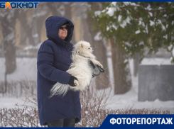 Новый циклон «Василий Туманов» накрыл Волгоград 