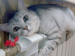 В Волгограде и области стартовал отопительный сезон