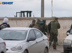 Волгоградские разработчики игр и сотрудники кибербезопасности могут получить отсрочку