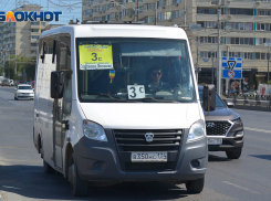 Водители обвинили мэрию Волгограда в специальном убийстве маршрута №3С