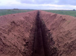 Двое мужчин трагически погибли на острове Людникова в Волгограде