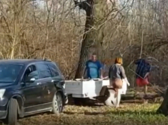 Волгоградский защитник поймы показал, как местные дачники разворовывают чернозем в природном парке