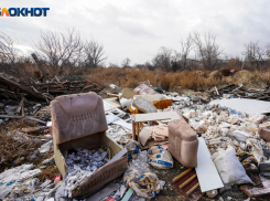 Расчистка свалки в топовом туристическом месте сорвалась под Волгоградом