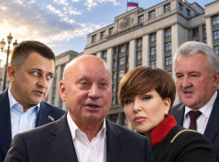 Волгоградский блок в Госдуме: кому прочат назначение в главы комитетов 