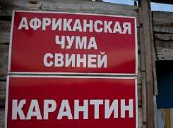 В Волгоградской области под карантин взяли целый хутор