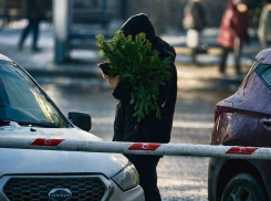 Запах хвои и солений: атмосфера последнего дня 2025 года в Волгограде 