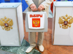 Накануне выборов в облдуму почистили избирком в Волгограде