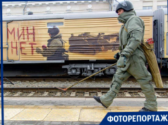 Сирийские военные трофеи попали в объектив волгоградского фотографа