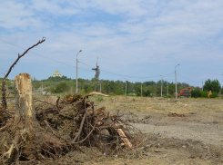 Жители Волгограда назвали варварством вырубку парка сталинградских вдов