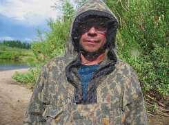 Волгоградский профессор объяснил обилие мошки в городе-герое