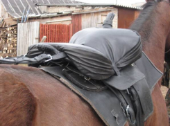 Из волгоградского конно-спортивного клуба украдены седла и хлысты