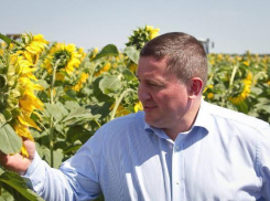 Андрей Бочаров встречает новый год в Волгограде