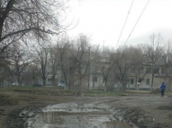 Денег нет, но вы держитесь: в Волгограде не могут облагородить территорию возле школы