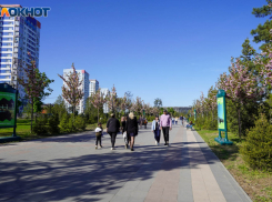 «Наши зарплаты — прожиточный минимум»: волгоградцы считают запредельным ежемесячный доход в 52 тысячи