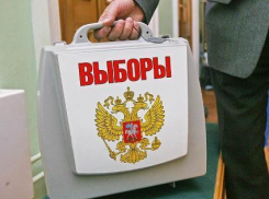 Восемь человек идут в депутаты Волгоградской гордумы без партийной поддержки