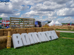 Неожиданные плюсы Волгограда выясняют у горожан