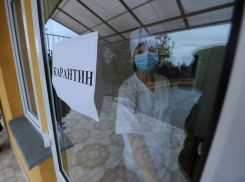 В Волгоградской области из-за гриппа на карантин закрыли 340 школ и лицеев