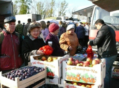 Крупная ярмарка Волгограда не согласовывает свою деятельность с мэрией 