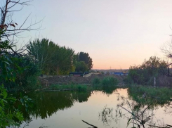 Потоп с начала лета и погибающая рыба в пруду: волгоградцы о коммунальных ЧП