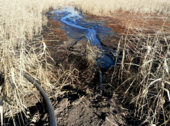 В Волгограде 13 ассенизаторов незаконно сливали жидкие бытовые отходы