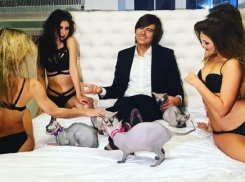 Прохор Шаляпин шокировал поклонников фотосессией на кровати с обнаженными девушками 